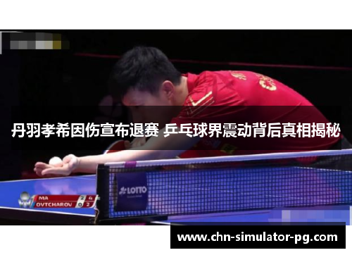丹羽孝希因伤宣布退赛 乒乓球界震动背后真相揭秘 丹羽孝希因伤宣布退赛 乒乓球界震动背后真相揭秘