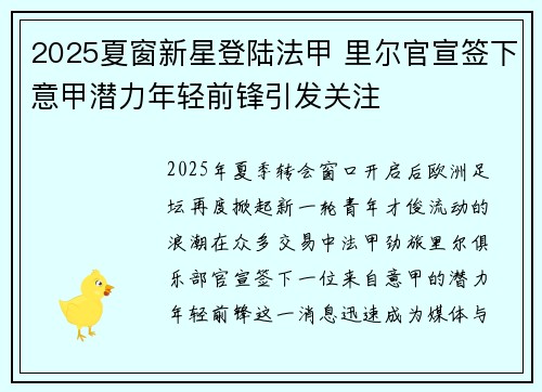 2025夏窗新星登陆法甲 里尔官宣签下意甲潜力年轻前锋引发关注 2025夏窗新星登陆法甲 里尔官宣签下意甲潜力年轻前锋引发关注